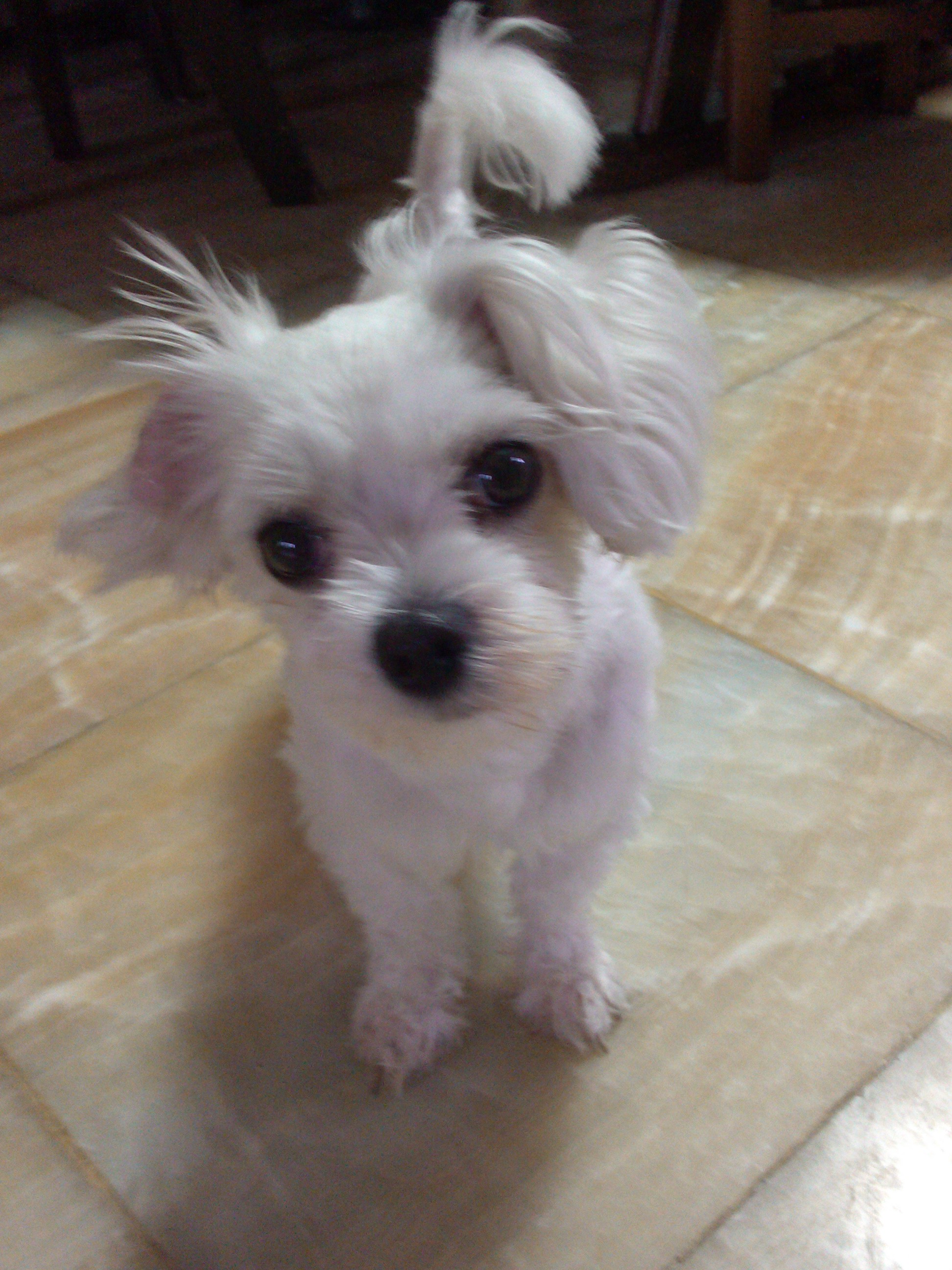 IMG_20140803_181853.jpg : 1연대 대연이 오빠~ IMG_20140803_181853.jpg : 1연대 대연이 오빠~