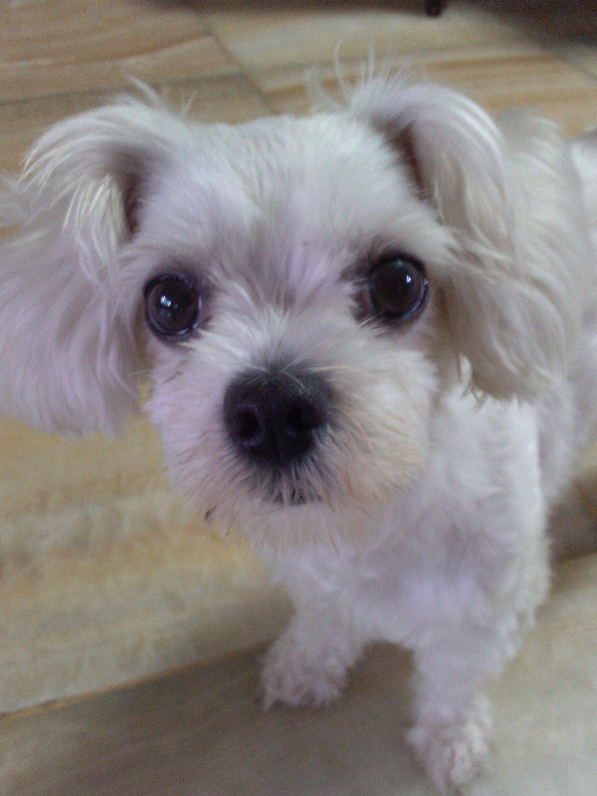 IMG_20140803_181909.jpg : 1연대 대연이 오빠~ IMG_20140803_181909.jpg : 1연대 대연이 오빠~