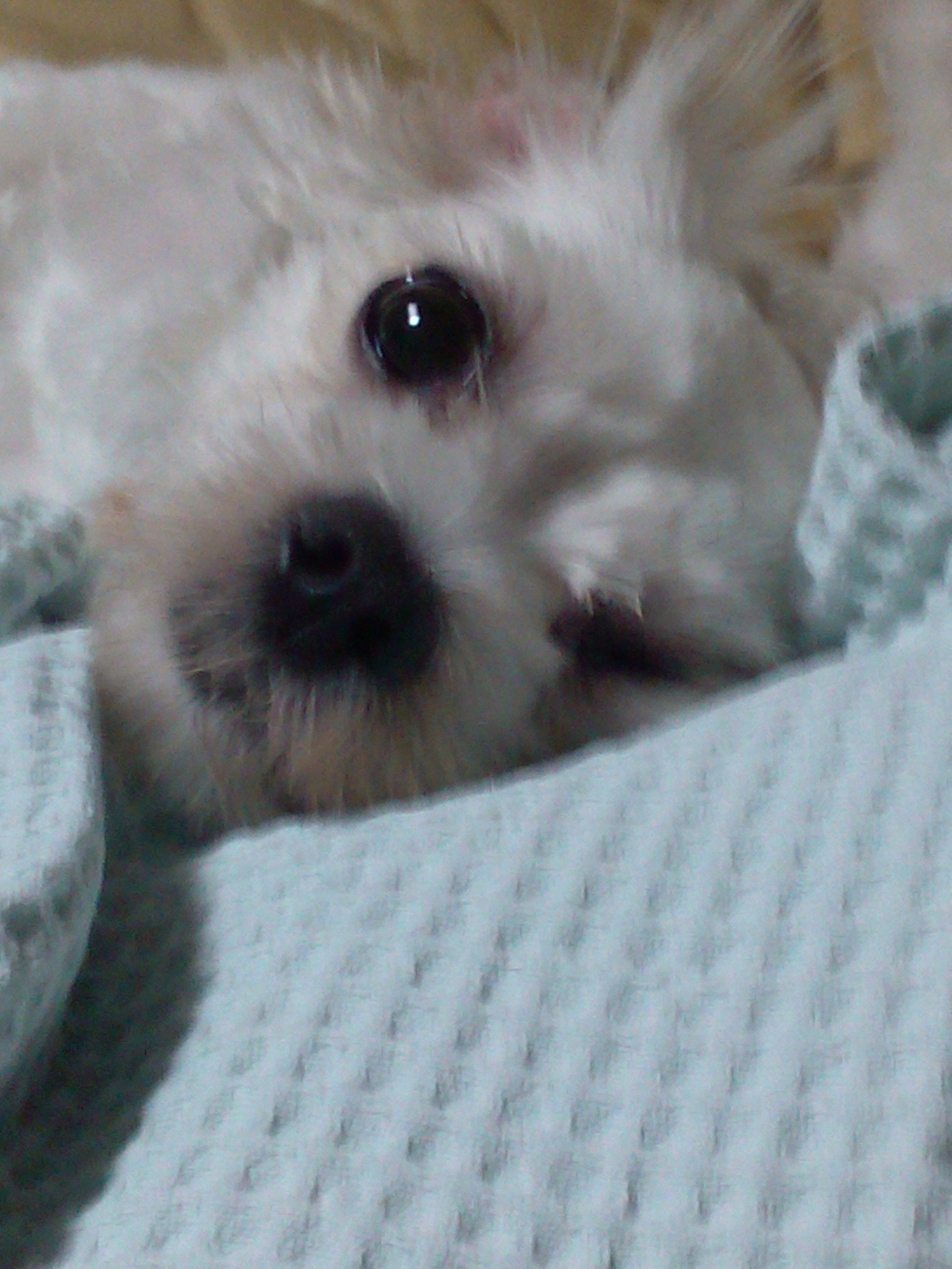 IMG_20140729_215130.jpg : 1연대 김대연 오빠 IMG_20140729_215130.jpg : 1연대 김대연 오빠