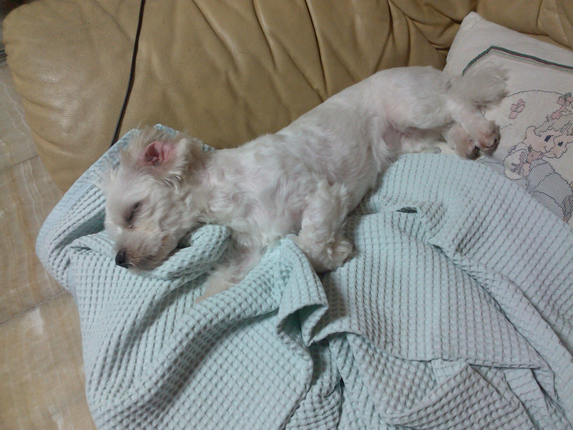 IMG_20140729_214352.jpg : 1연대 김대연 오빠 IMG_20140729_214352.jpg : 1연대 김대연 오빠