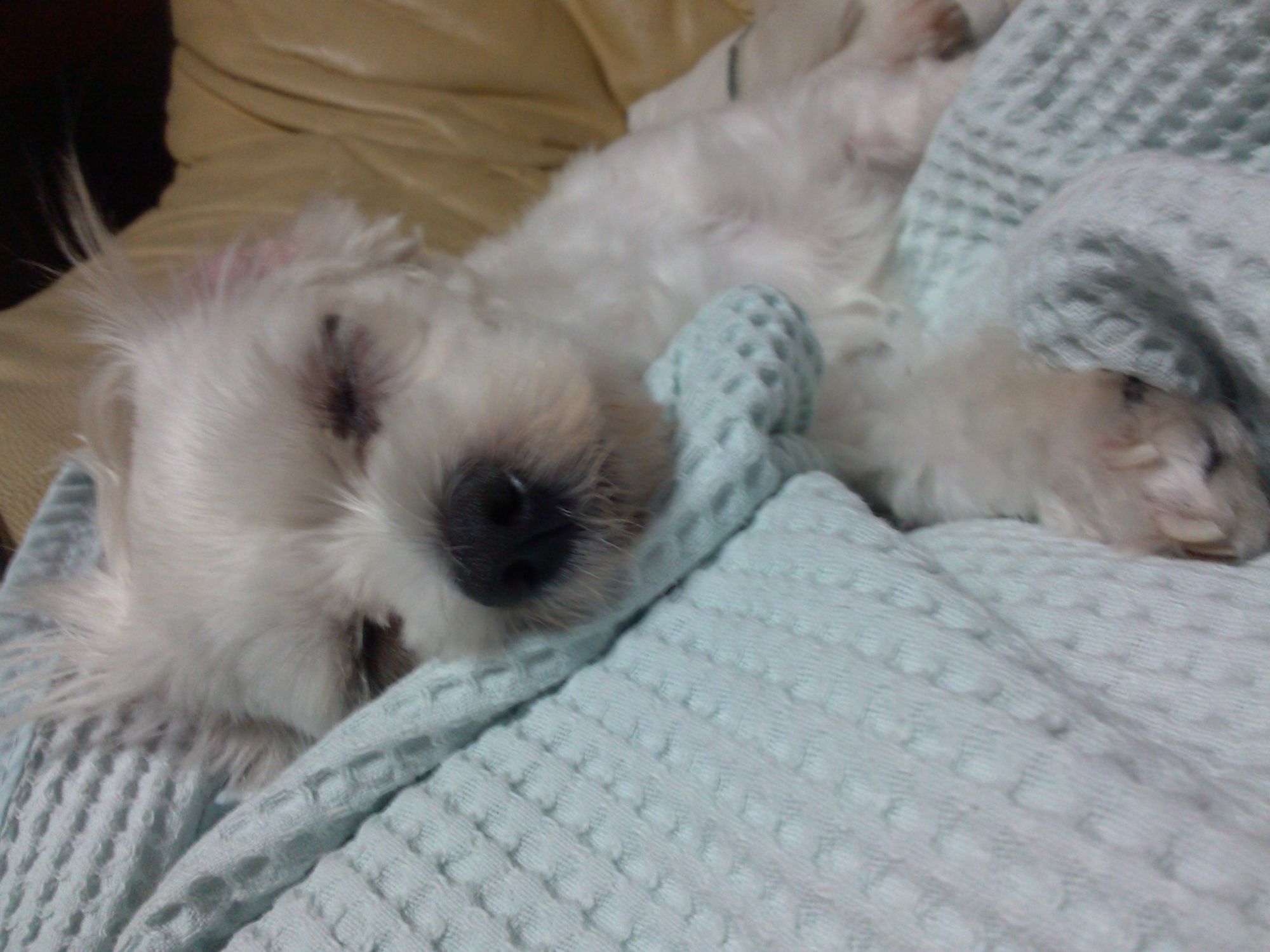 IMG_20140729_214402.jpg : 1연대 김대연 오빠 IMG_20140729_214402.jpg : 1연대 김대연 오빠