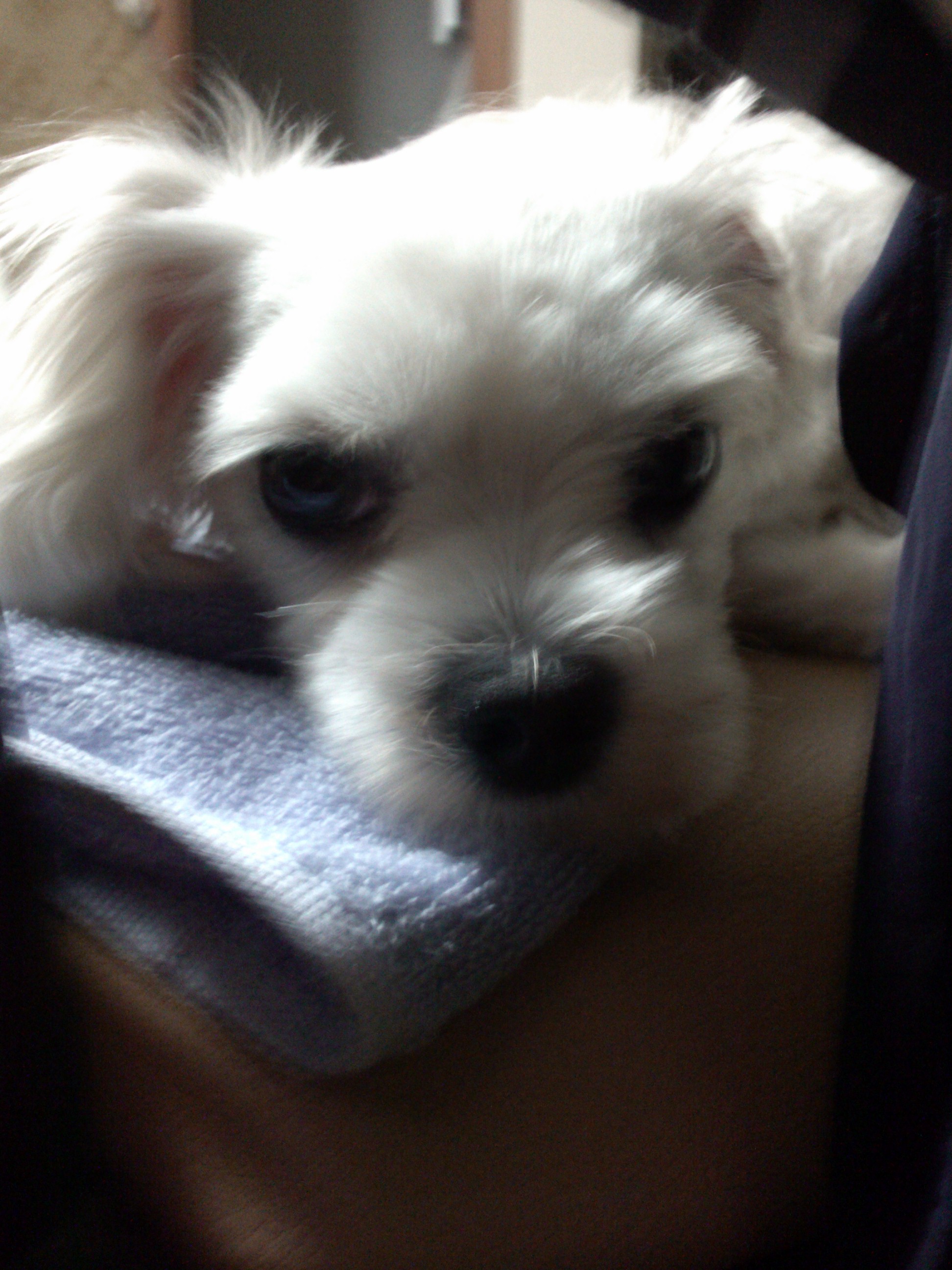 IMG_20140802_005349.jpg : 1연대 불사조인 김대연 오빠에게 IMG_20140802_005349.jpg : 1연대 불사조인 김대연 오빠에게